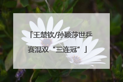 王楚钦/孙颖莎世乒赛混双“三连冠”
