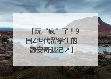 玩“疯”了！9国Z世代留学生的静安奇遇记↗