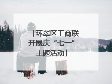 环翠区工商联开展庆“七一”主题活动