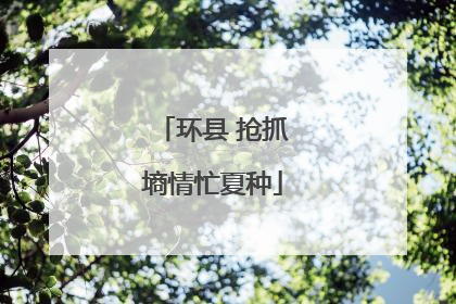 环县 抢抓墒情忙夏种
