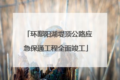 环鄱阳湖堤顶公路应急保通工程全面竣工