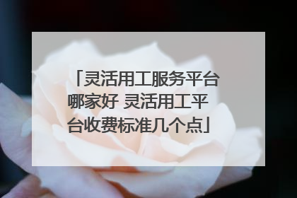灵活用工服务平台哪家好 灵活用工平台收费标准几个点