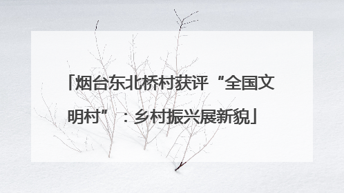 烟台东北桥村获评“全国文明村”：乡村振兴展新貌
