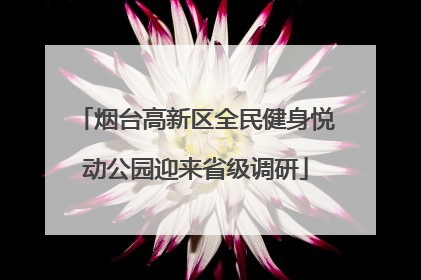 烟台高新区全民健身悦动公园迎来省级调研