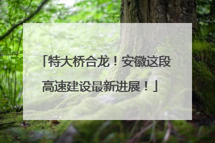 特大桥合龙！安徽这段高速建设最新进展！