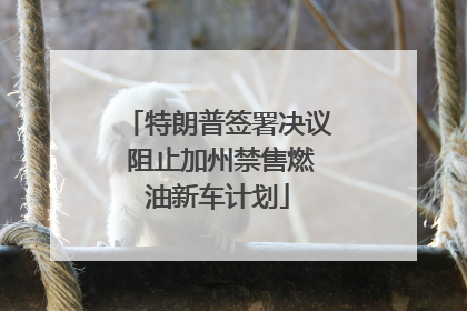 特朗普签署决议 阻止加州禁售燃油新车计划