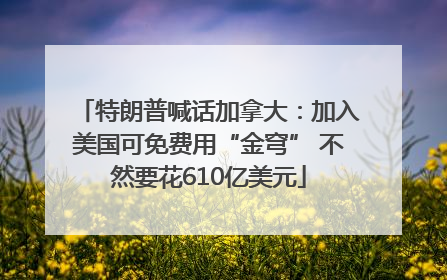 特朗普喊话加拿大：加入美国可免费用“金穹” 不然要花610亿美元