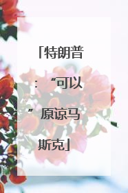 特朗普：“可以”原谅马斯克