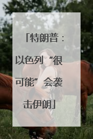特朗普：以色列“很可能”会袭击伊朗
