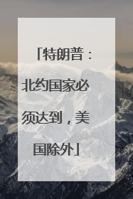 特朗普：北约国家必须达到，美国除外