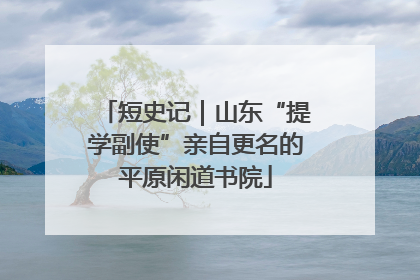 短史记｜山东“提学副使”亲自更名的平原闲道书院