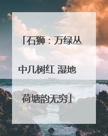 石狮：万绿丛中几树红 湿地荷塘韵无穷