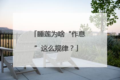 睡莲为啥“作息”这么规律？