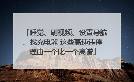 睡觉、刷视频、设置导航、找充电器 这些高速违停理由一个比一个离谱