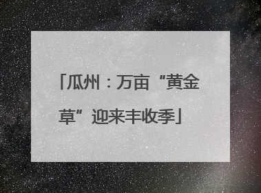 瓜州：万亩“黄金草”迎来丰收季