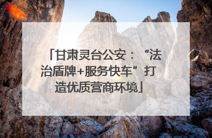 甘肃灵台公安：“法治盾牌+服务快车”打造优质营商环境