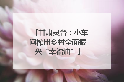 甘肃灵台：小车间榨出乡村全面振兴“幸福油”