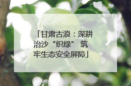 甘肃古浪：深耕治沙“织绿” 筑牢生态安全屏障