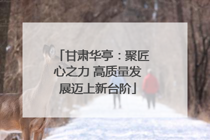 甘肃华亭：聚匠心之力 高质量发展迈上新台阶