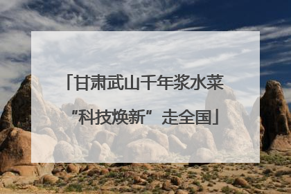 甘肃武山千年浆水菜“科技焕新”走全国