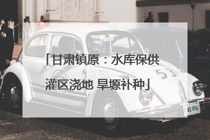 甘肃镇原：水库保供 灌区浇地 旱塬补种
