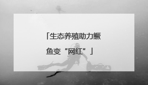 生态养殖助力鳜鱼变“网红”