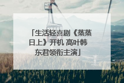 生活轻喜剧《蒸蒸日上》开机 高叶韩东君领衔主演