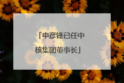 申彦锋已任中核集团董事长