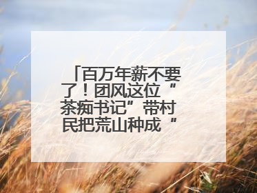 百万年薪不要了！团风这位“茶痴书记”带村民把荒山种成“绿色银行”