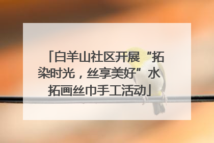 白羊山社区开展“拓染时光，丝享美好”水拓画丝巾手工活动