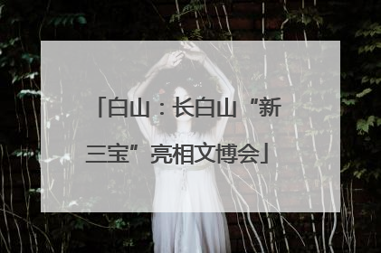 白山：长白山“新三宝”亮相文博会