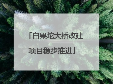 白果坨大桥改建项目稳步推进
