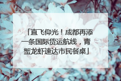 直飞仰光！成都再添一条国际货运航线，青蟹龙虾速达市民餐桌