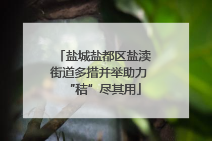盐城盐都区盐渎街道多措并举助力“秸”尽其用