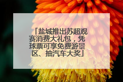 盐城推出苏超观赛消费大礼包，凭球票可享免费游景区、抽汽车大奖