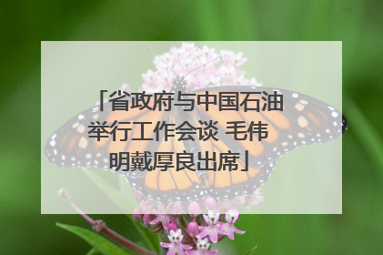 省政府与中国石油举行工作会谈 毛伟明戴厚良出席