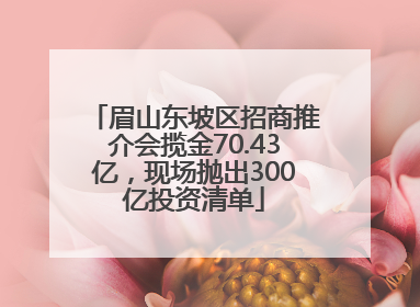 眉山东坡区招商推介会揽金70.43亿，现场抛出300亿投资清单