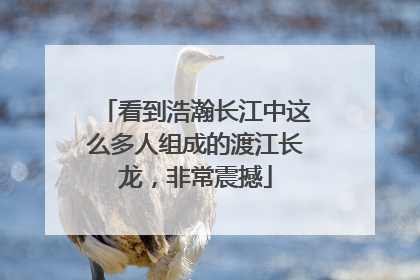 看到浩瀚长江中这么多人组成的渡江长龙，非常震撼