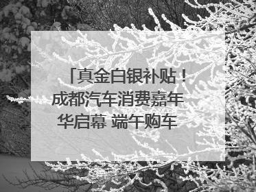 真金白银补贴！成都汽车消费嘉年华启幕 端午购车正当时｜网络中国节·端午