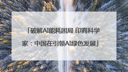 破解AI能耗困局 印裔科学家：中国在引领AI绿色发展