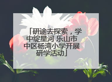 研途去探索，学中绽星河 乐山市中区杨湾小学开展研学活动