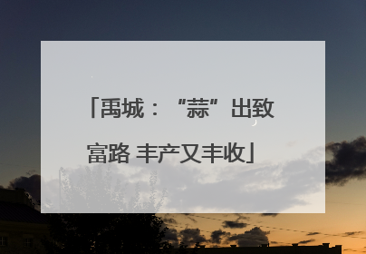 禹城：“蒜”出致富路 丰产又丰收