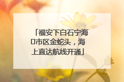 福安下白石宁海⇆市区金蛇头，海上直达航线开通