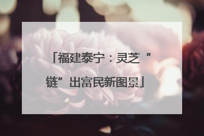 福建泰宁:灵芝“链”出富民新图景