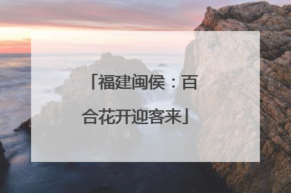 福建闽侯:百合花开迎客来