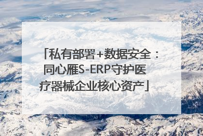 私有部署+数据安全：同心雁S-ERP守护医疗器械企业核心资产