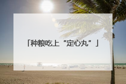 种粮吃上“定心丸”