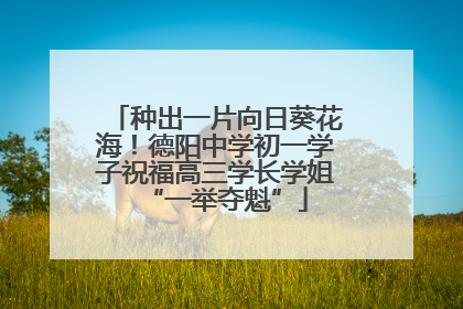 种出一片向日葵花海！德阳中学初一学子祝福高三学长学姐“一举夺魁”