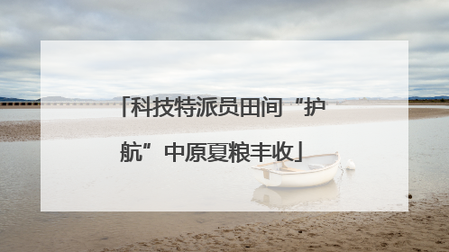 科技特派员田间“护航”中原夏粮丰收