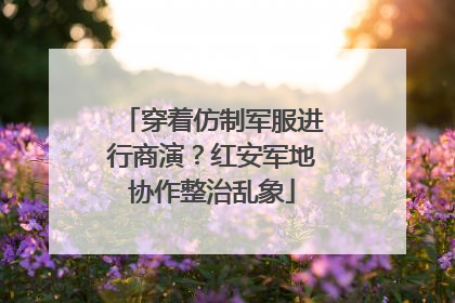 穿着仿制军服进行商演？红安军地协作整治乱象